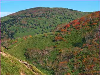 紅葉の山