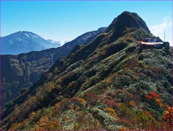 千本檜小屋