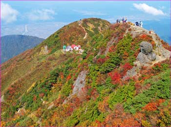 千本檜小屋