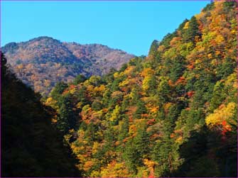 紅葉の山へ