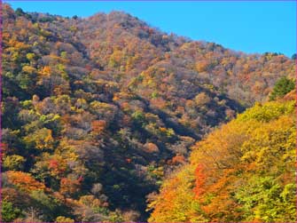 紅葉の山