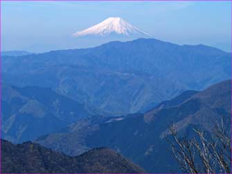 川苔山から富士山