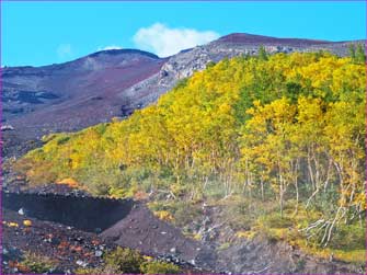 富士山