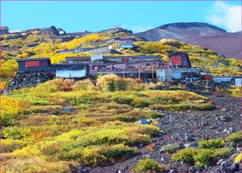 登山道の秋