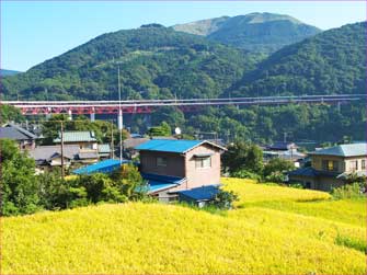 谷峨から大野山