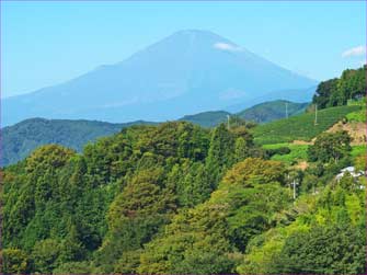 野背開戸の富士