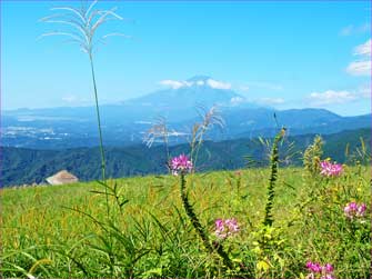 富士山