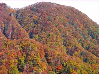 浅間隠山尾根