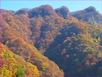 荒船山紅葉