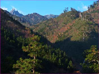 宮之浦岳遙か