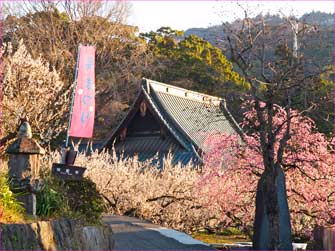 瑞雲寺の春