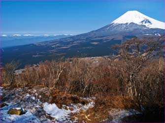 富士山