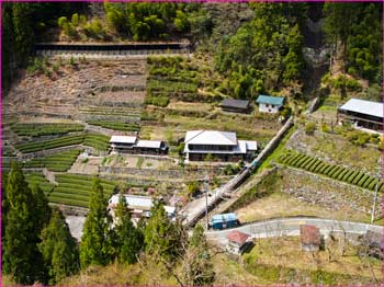 山峡集落