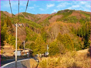 戸倉山キャンプ場への道