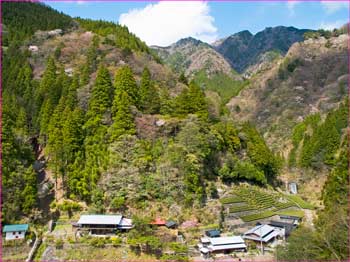 山峡の村