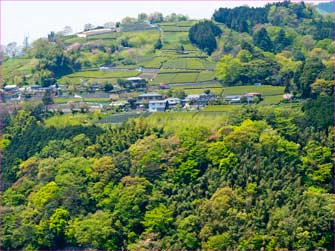 城山