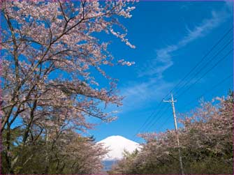 富士山
