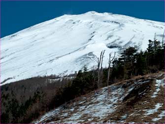 富士山