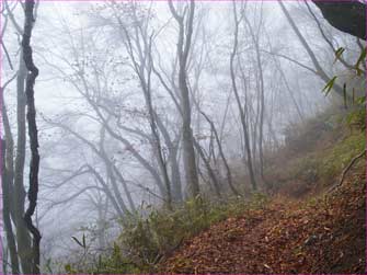 霧の山