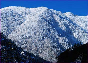 仙丈馬の背雪景