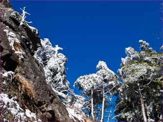 山頂付近は雪が