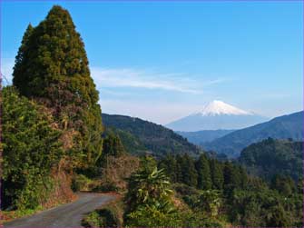 富士山