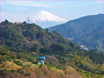 富士山