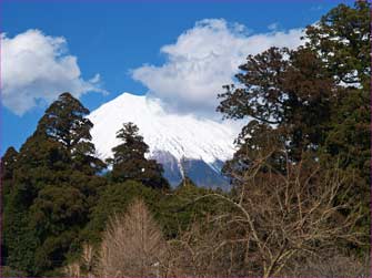 村山神社の富士