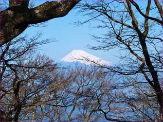 富士山