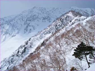 赤岩尾根見上げて