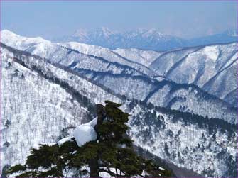 頸城山塊