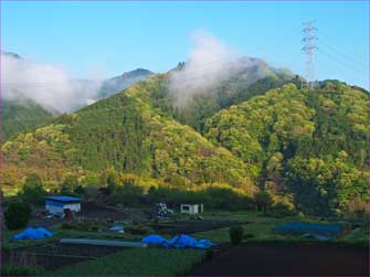 雨上がりの山