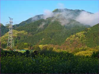 雨上がりの山