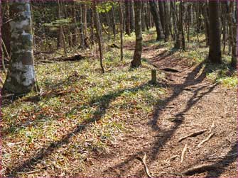 下山道