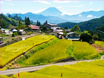 平林棚田