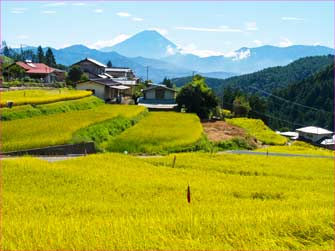 平林棚田