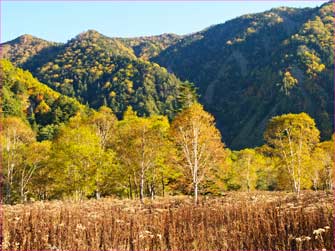 登山口