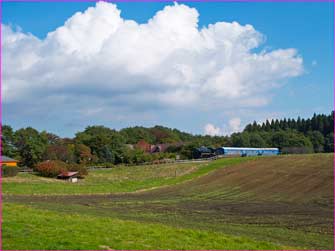 小岩井農場