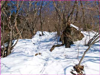 雪斜面