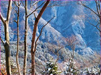 雪明け