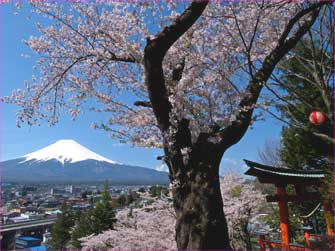 新倉神社富士