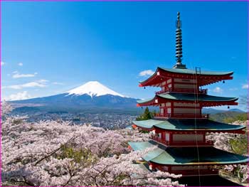 新倉浅間神社の桜