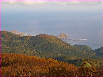 鷲泊港