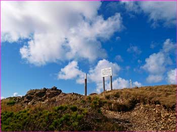 礼文岳山頂