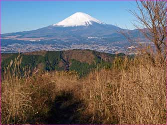 富士山