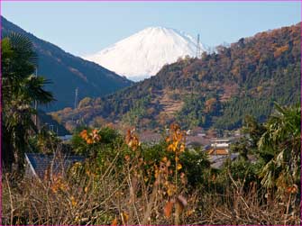 山北富士