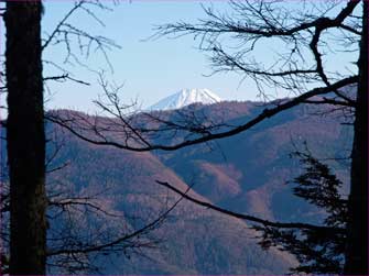 富士山見ゆ