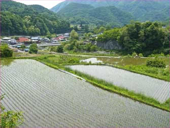 山梨の