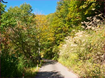 登山道