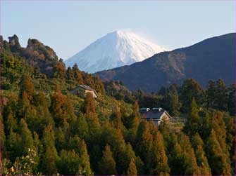 浜石岳から富士山